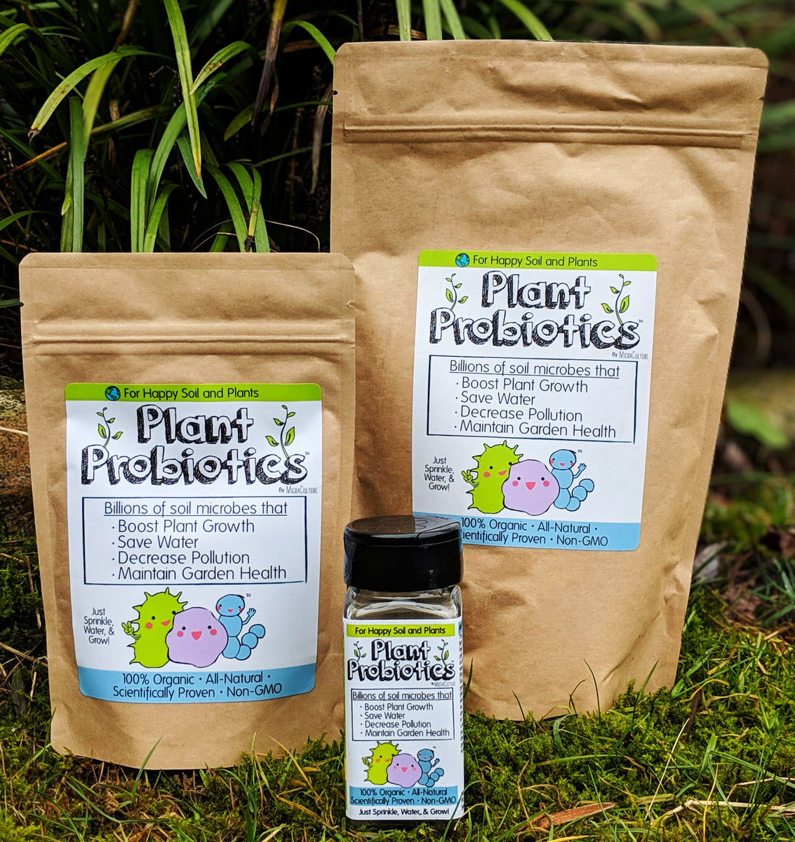 6 Pack Probiotic Starter Seeds (Custom Blend of 11 Probiotic Cultures)