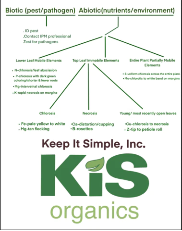 A Dichotomous Key for Understanding Nutrient Deficiencies