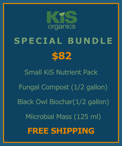 Special Bundle